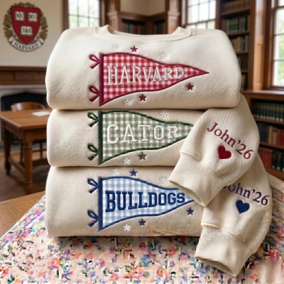 Custom Pennant University Embroidered Sweatshirt, College Letter Sweater, School Spirit Shirt Game Day Outfit