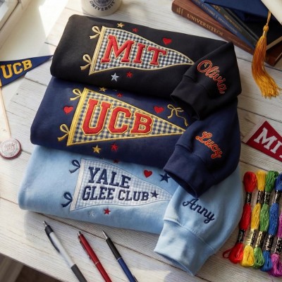 Custom Pennant University Embroidered Sweatshirt, College Letter Sweater, School Spirit Shirt Game Day Outfit